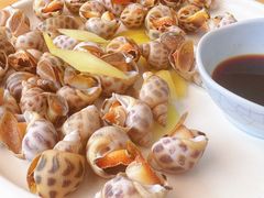 -启东小海鲜(庄先湾路1号店)