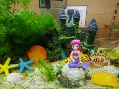 -大润发(姑嫂树店)