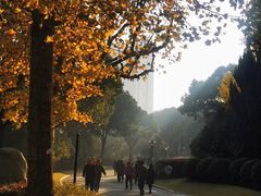 -黄兴公园