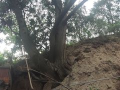 -玉泉观