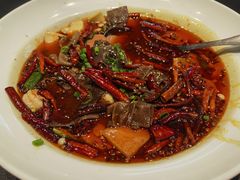 毛血旺-开海·红岛海鲜虾水饺(石老人店)