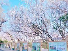 -国家植物园