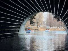 -桃花岛公园