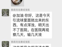 -康成宠物医院24H·CT·核磁共振
