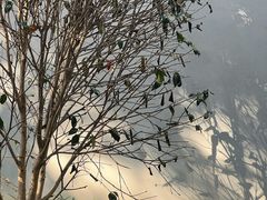 -瑞幸咖啡(太阳百货商场负一层店)