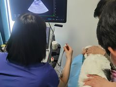 -北京观赏动物医院·24小时大型综合·猫专科·异宠专科