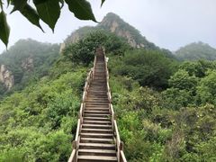-大岭沟猕猴桃谷风景区