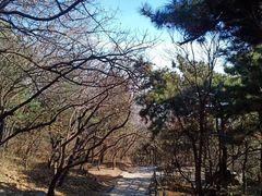 -香山公园