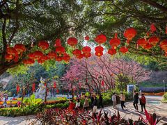 -金鸡山公园