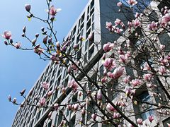 -河海大学(江宁校区)
