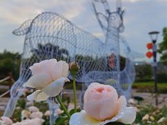 -立新湖公园