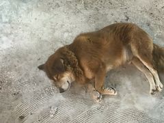 -拉威海鲜市场