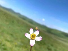 -郭莽湿地
