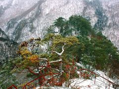 -丹东天桥沟景区