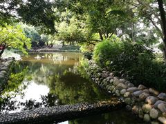 -成都市活水公园
