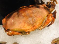 -安蒂娅·海鲜自助餐厅(安蒂娅美兰酒店)