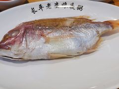 腌红立鱼-长平老姿娘夜粥(平东一街店)