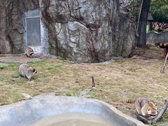 -宁波野生动物园