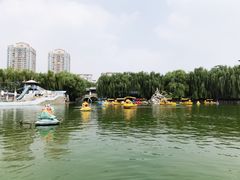 -团结湖公园