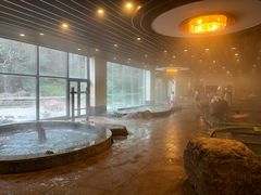 -天目湖涵田半山温泉