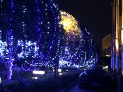-杭州君悦酒店