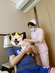 -巍阁高端月子会所