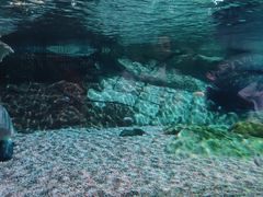 -北京海洋馆