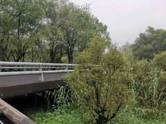 -西湖风景区-江洋畈生态公园