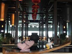 -河源万绿湖美思威尔顿酒店