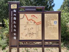 -北京西山国家森林公园