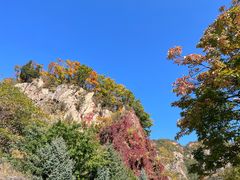 -关门山森林公园