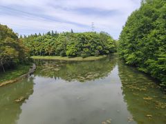 -上海海湾国家森林公园