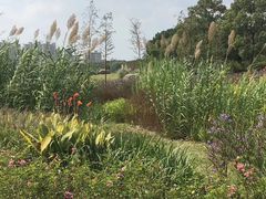 -昆山城市生态森林公园