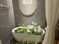 -小仙女采耳·按摩·SPA(深圳旗舰店)