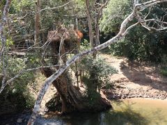 -野象谷景区