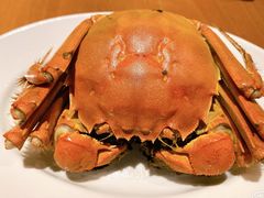 大闸蟹-广州富力君悦大酒店·凯菲厅