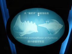 -金钉子远古世界景区