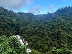 -海南热带雨林国家公园吊罗山景区