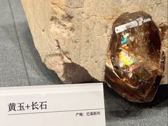 -国家自然博物馆