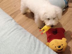 -佳雯宠物医院(四明中路分院)