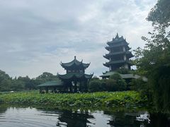 -桂湖森林公园