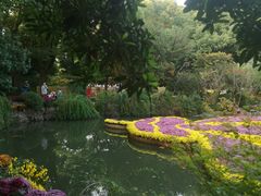 -汇龙潭