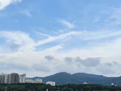 -立新湖公园
