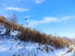 -终南山国家森林公园