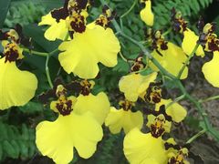 -南通洲际绿博园