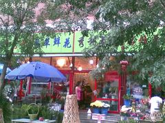 -宝鸡东道花鸟鱼虫市场(吉利花园商场店)