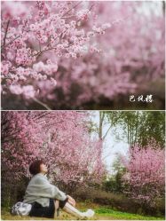 -金牛宾馆·婚寿宴预定中心