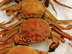 -东方红海鲜百汇(国际大厦店)