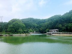 -广州市帽峰山景区