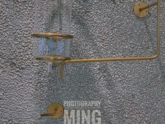 -MQ COFFEE STAND明谦(新洲店)
